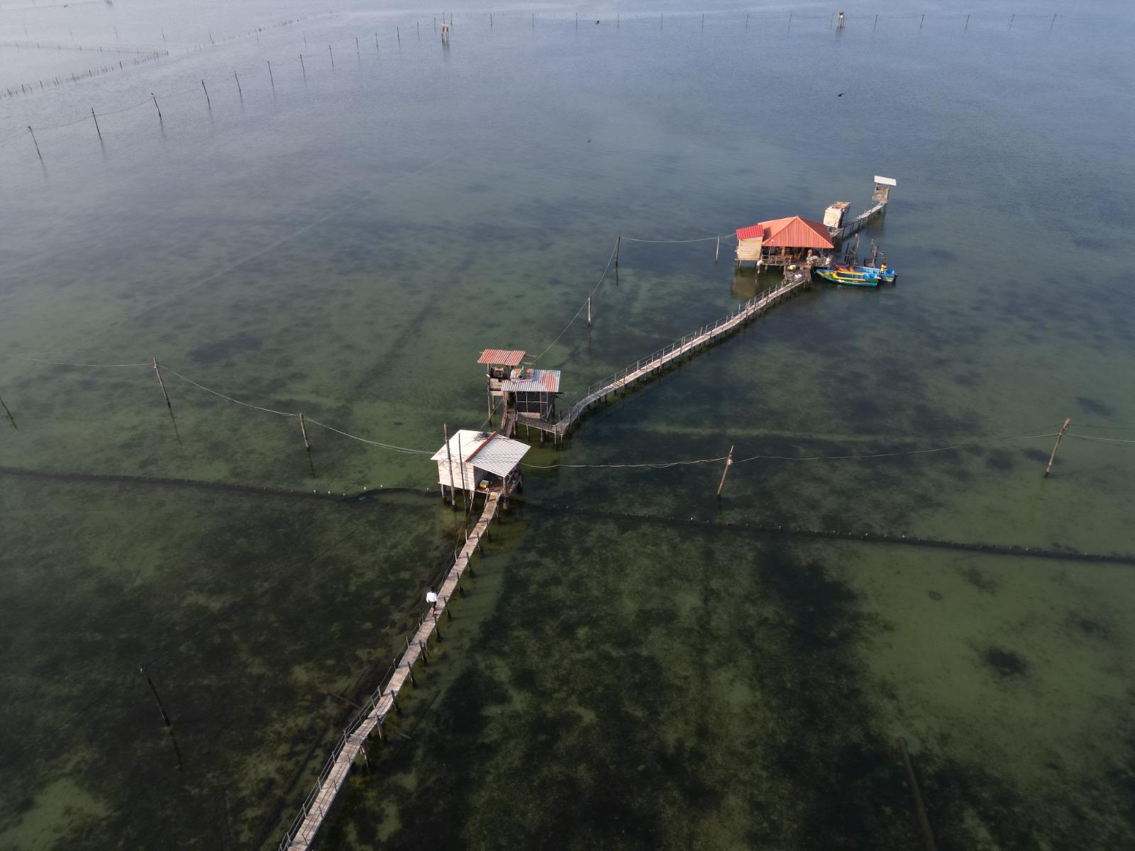 Ocean Pen Farming
