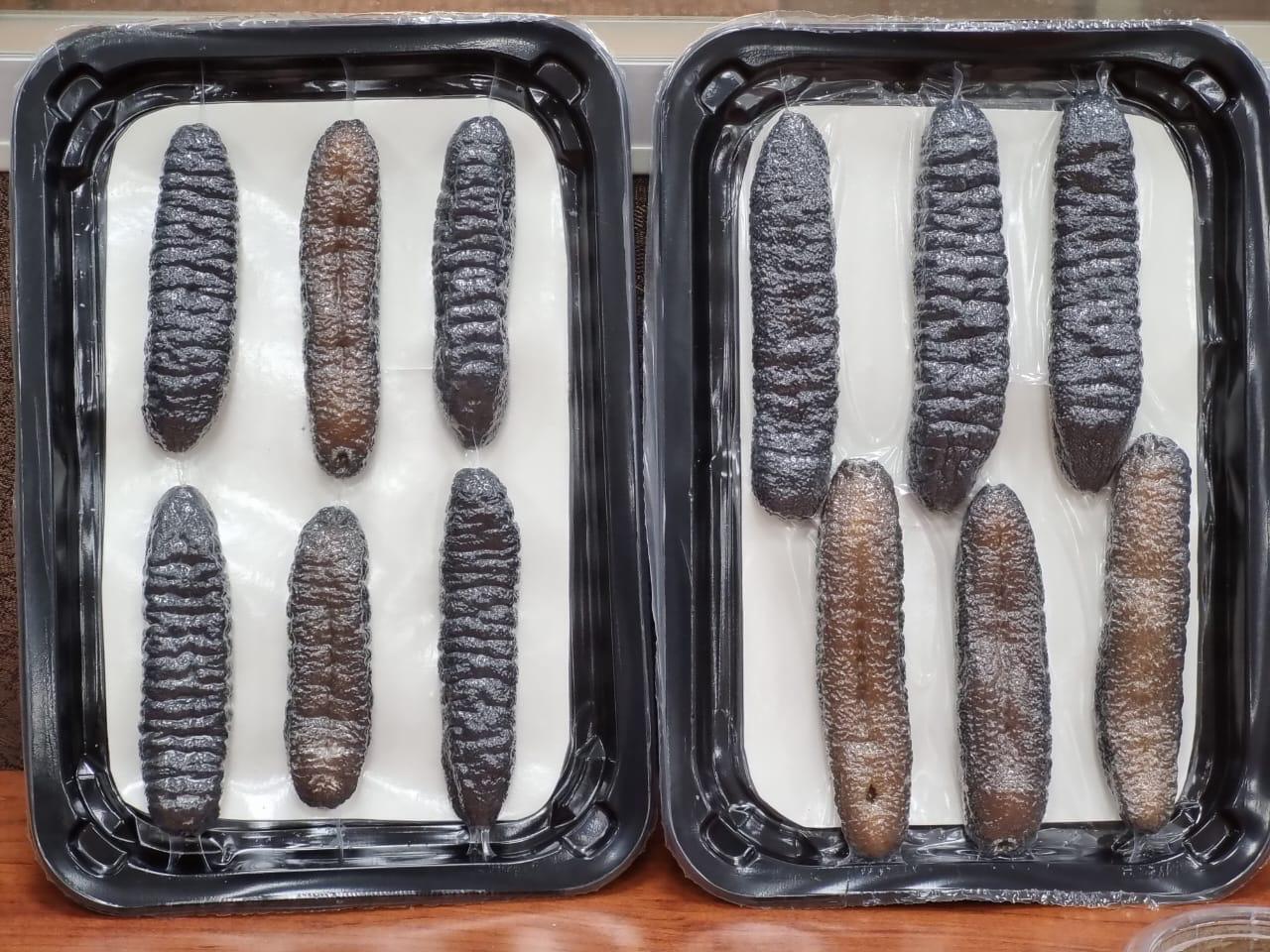 Dried Sea Cucumber (Beche-de-Mer)